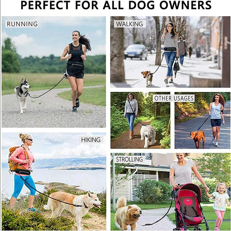 Freihändige Hunde Leine mit Bungee-Funktion