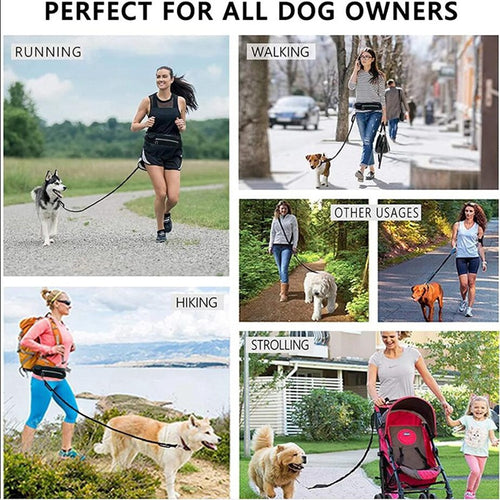Freihändige Hunde Leine mit Bungee-Funktion