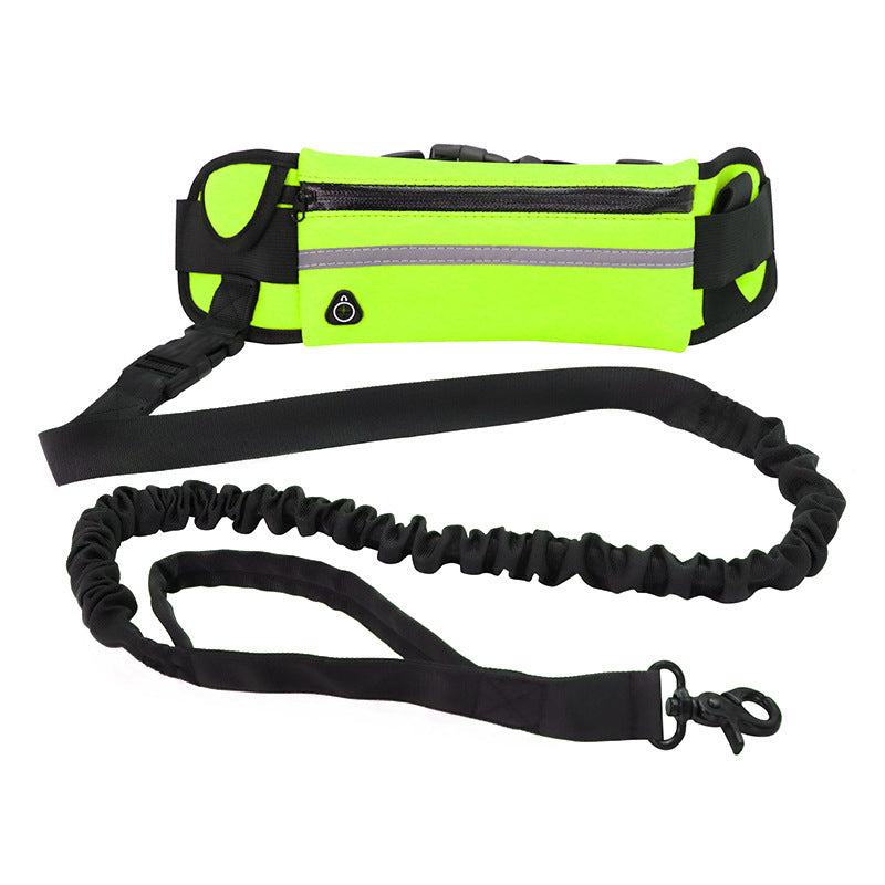 Freihändige Hunde Leine mit Bungee-Funktion