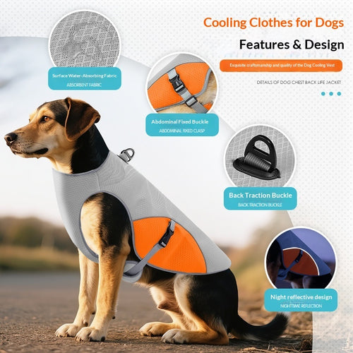 Anti-Hitze Kühlweste für Hunde (Sommer Must-Have)