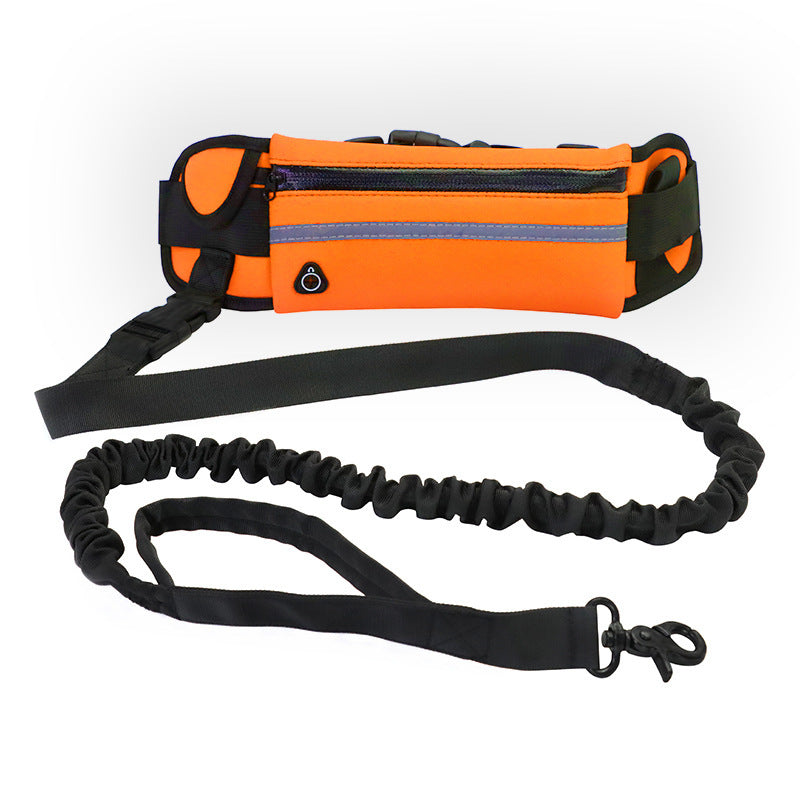 Freihändige Hunde Leine mit Bungee-Funktion